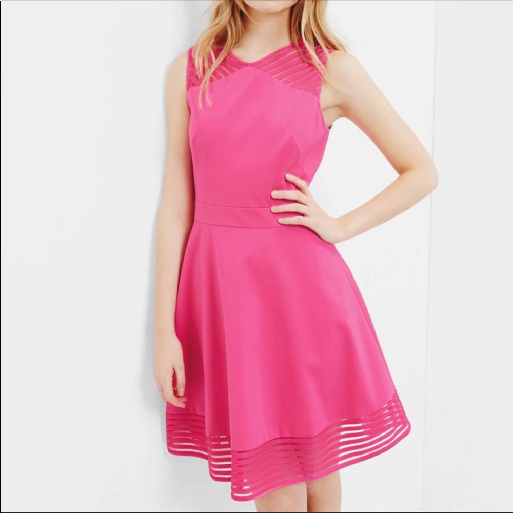 Ted Baker Fuchsia Eleese  Skater Dress fit and flare